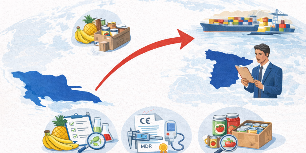 ChatGPT Image 17 dic 2025, 12_00_08